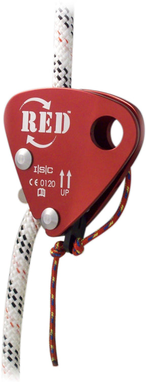 レッドバックアップ RED Back-up (Popper Cord)