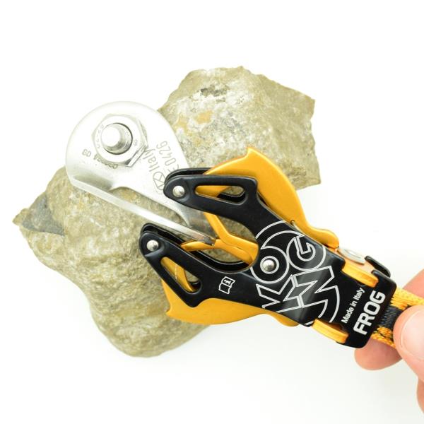 KONG FROG フロッグ