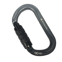 カメレオン オーツー Chameleon O2