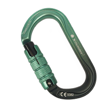 カメレオン オースリー Chameleon O3