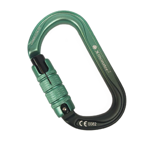 カメレオン オースリー Chameleon O3