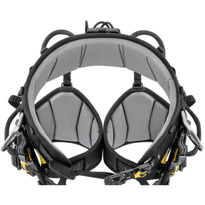 セコイア プラス SEQUOIA PLUS
