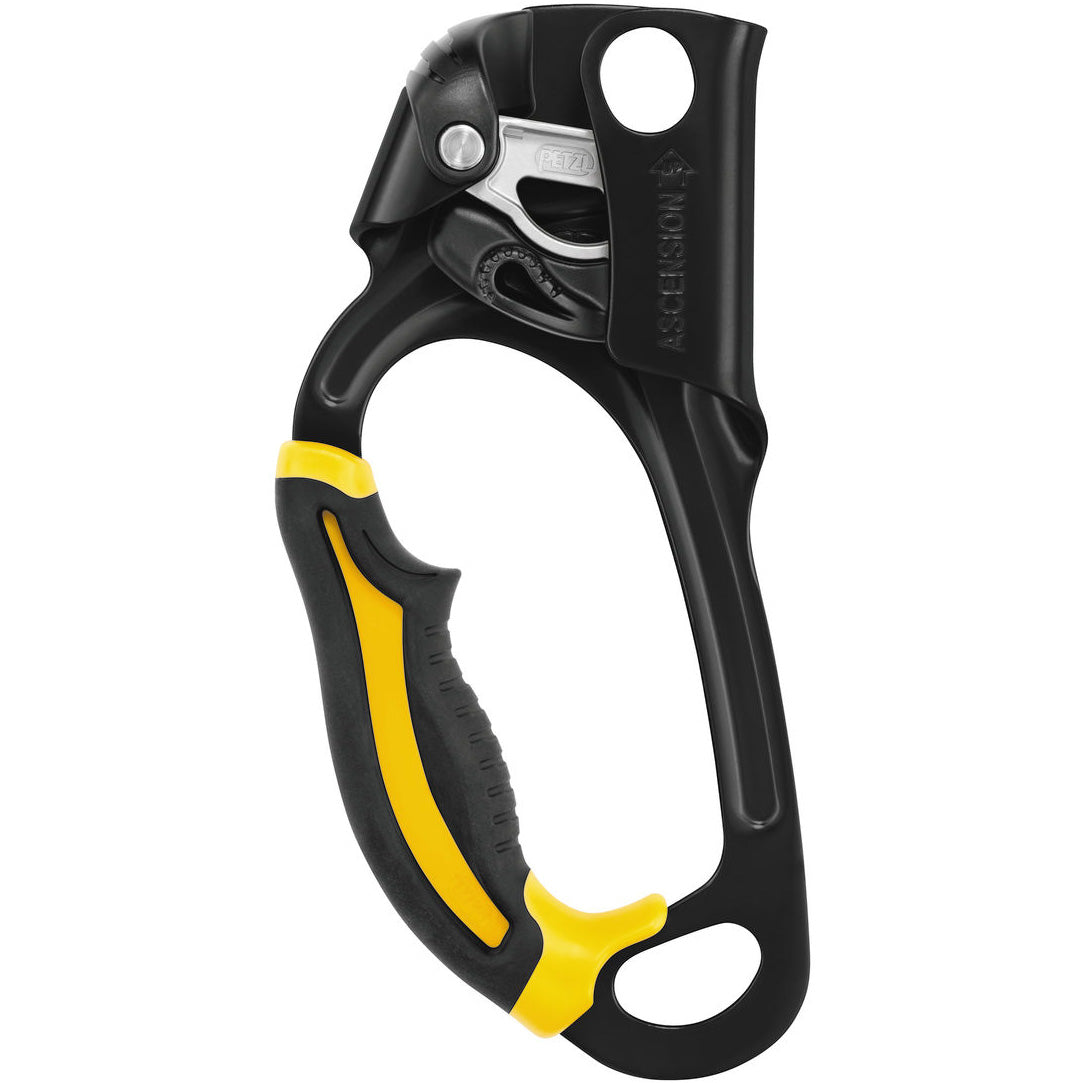 PETZL（ペツル）アッセンション ASCENSION – Fオンラインストア