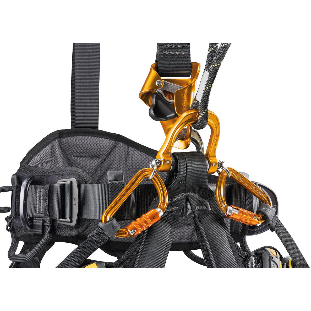 PETZL（ペツル）アストロ ボッド ファスト 国際バージョン ASTRO BOD FAST International Version –  Fオンラインストア | ロープ高所作業用品専門店